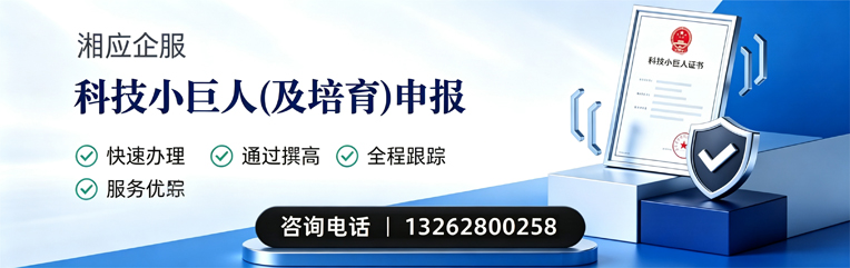 营口科技小巨人及培育企业申报服务