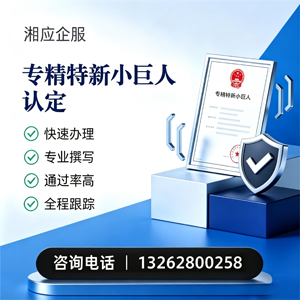 营口专精特新小巨人申报服务