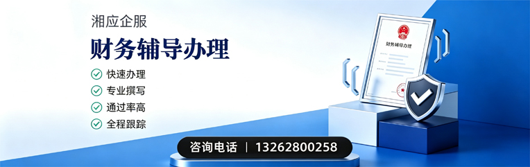 营口财务辅导申请服务