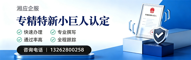 营口专精特新小巨人申报服务